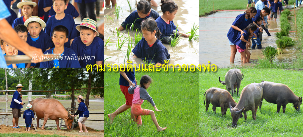 ครูธานี หอมชื่น, บ้านนาครูธานี