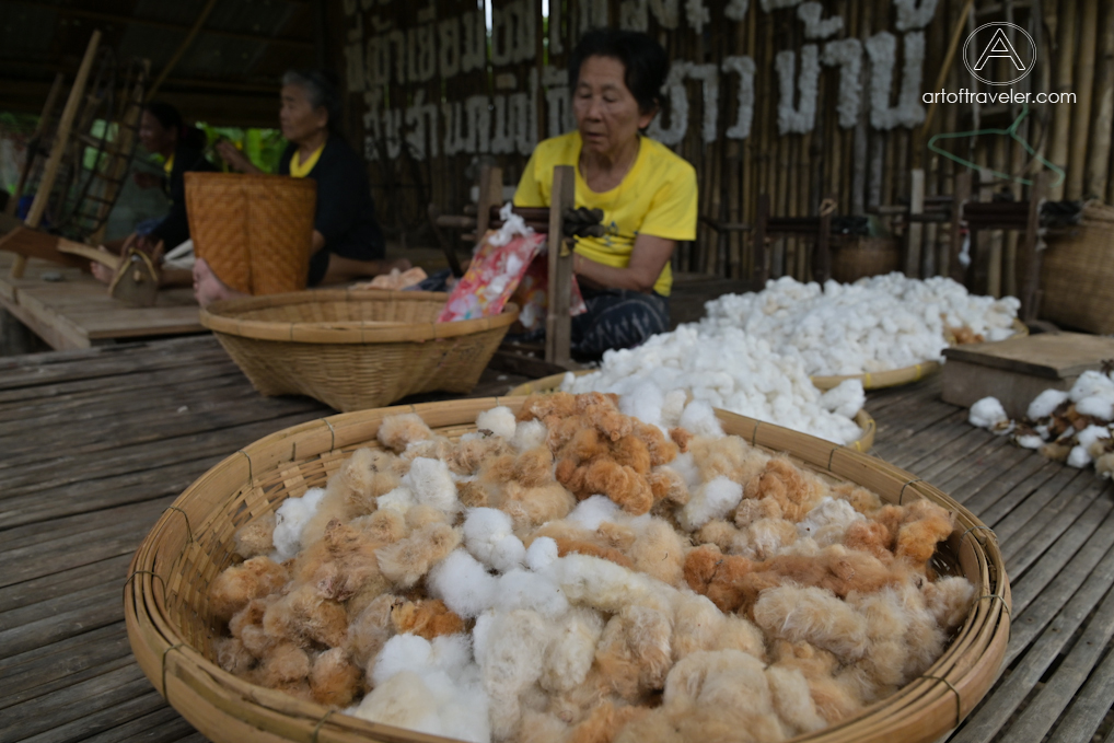 วิสาหกิจชุมชนกลุ่มสตรีพัฒนาบ้านโพธิ์เมือง